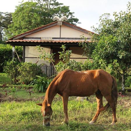 Finca Lindos Ojos Estelí Exterior foto