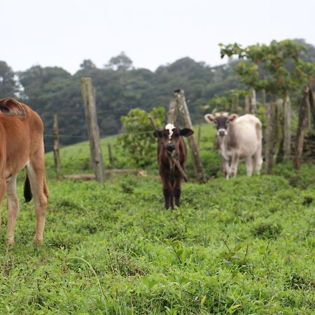 Finca Lindos Ojos Estelí Exterior foto