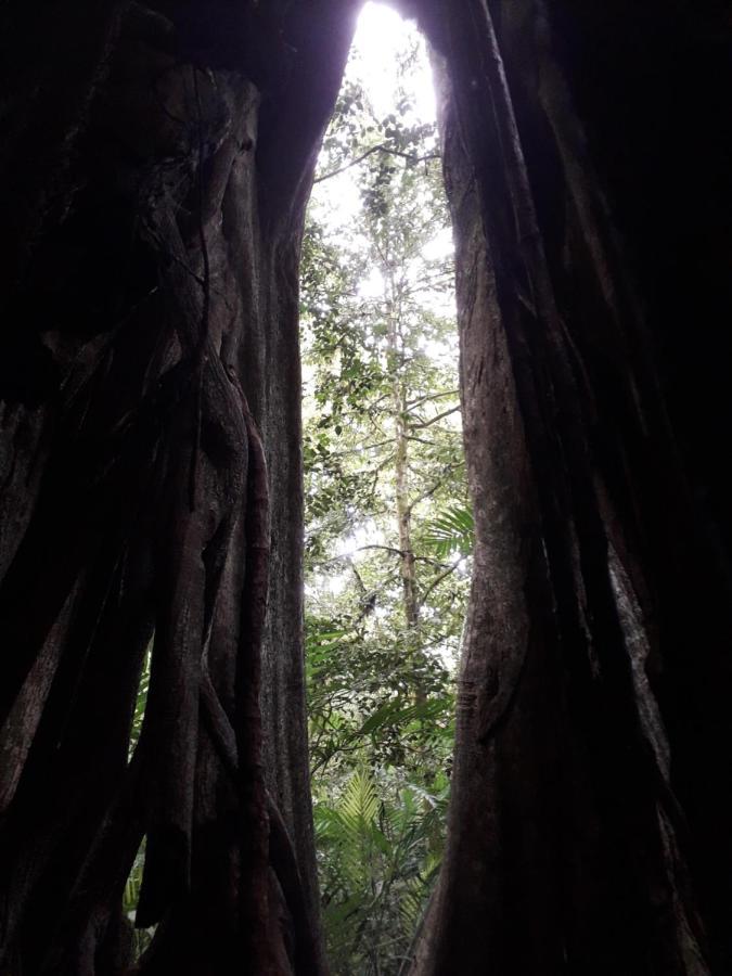 Finca Lindos Ojos Estelí Exterior foto