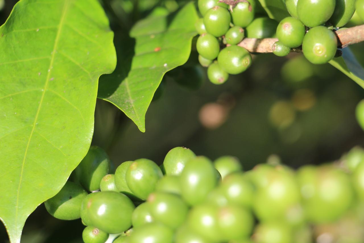 Finca Lindos Ojos Estelí Exterior foto