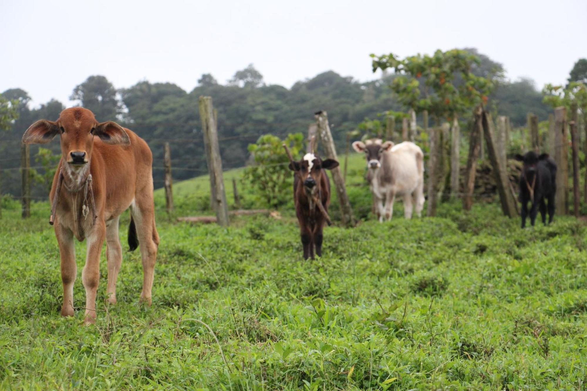 Finca Lindos Ojos Estelí Exterior foto